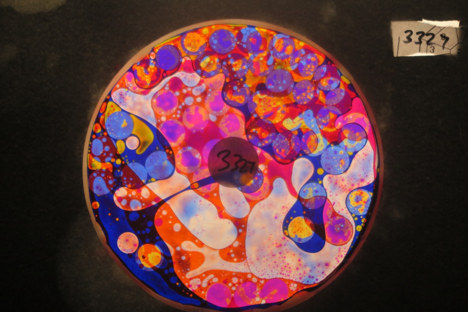 BV3327 bubble vision oil wheel